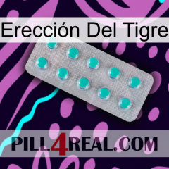 Erección Del Tigre 28